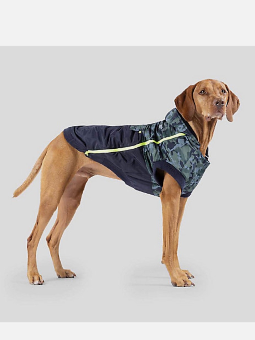 NWT Canada Pooch "360" Camo Jacket 26